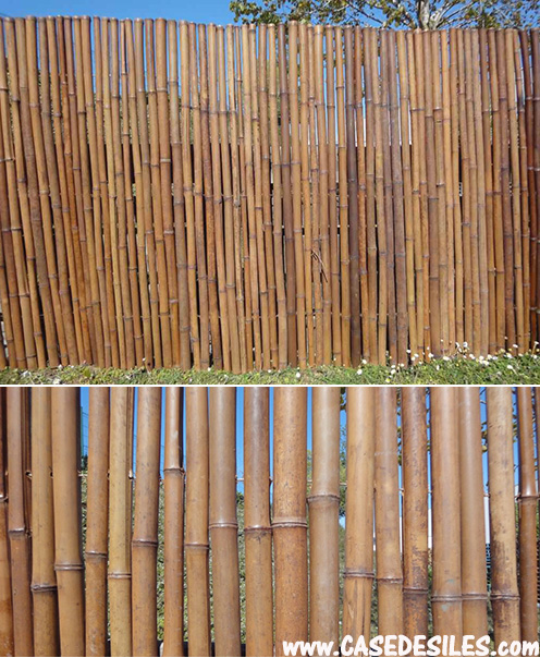 Brise-Vue Bambou Clôture Palissade Coupe-Vent Natte de Demi-Coque Baru (  Hxl )