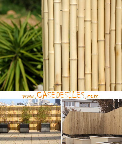 Cloture jardin Bambouland : pare vue en bambou naturel