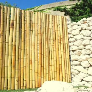 Clôture bambou gros diamètre 4à10cm en 150x250cm