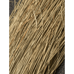 Herbe des marais naturelle et végétale au kg – Image 3