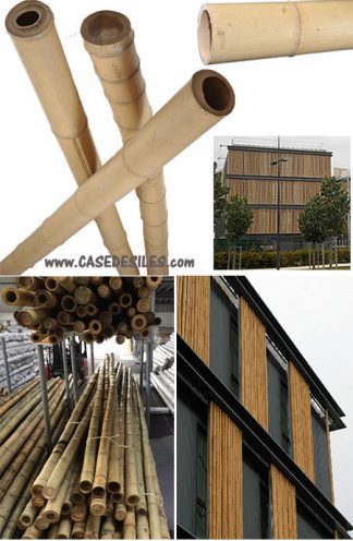 Bâtons de bambou natures D80-100mm L295cm lot de 6