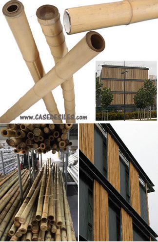 Bâton de bambou naturel D60-80mm L295cm