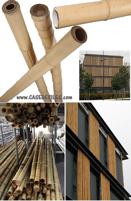 Bâtons de bambou natures D60-80mm L295cm lot de 5