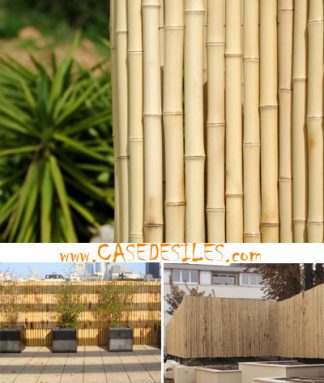 Clôture de bambou jardin régulier naturel L1.5 - H1m
