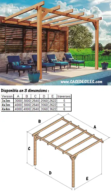 Abri de terrasse bois adossant stratifié 3x3 à 4x4m Andorra